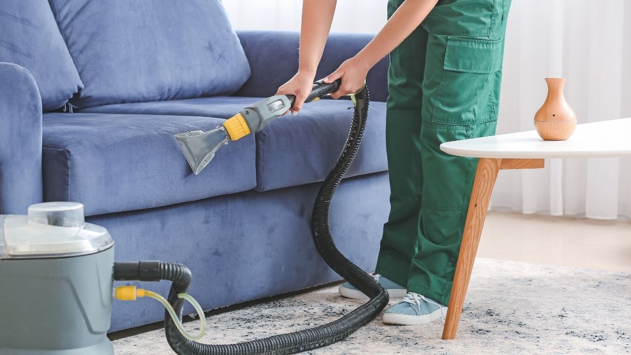 Top 7 Reasons to Professionally Clean Your Sofa – You’ll Be Surprised 2