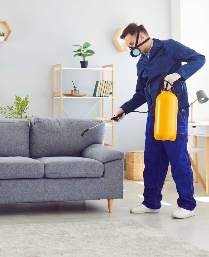 Sofa Cleaning